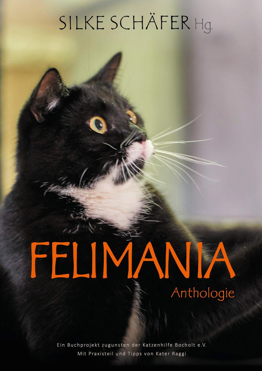 Coverbild von dem Buch mit dem Titel Felimania
